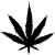 Marijuana